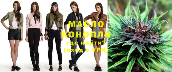 дживик Абинск