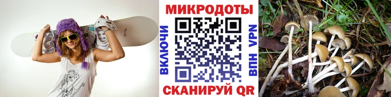 Галлюциногенные грибы GOLDEN TEACHER  Октябрьск 